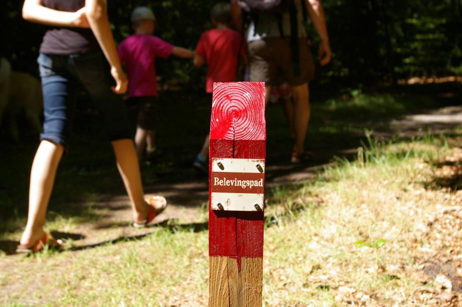 Camping De Reeenwissel Hoogersmilde Luaran gambar