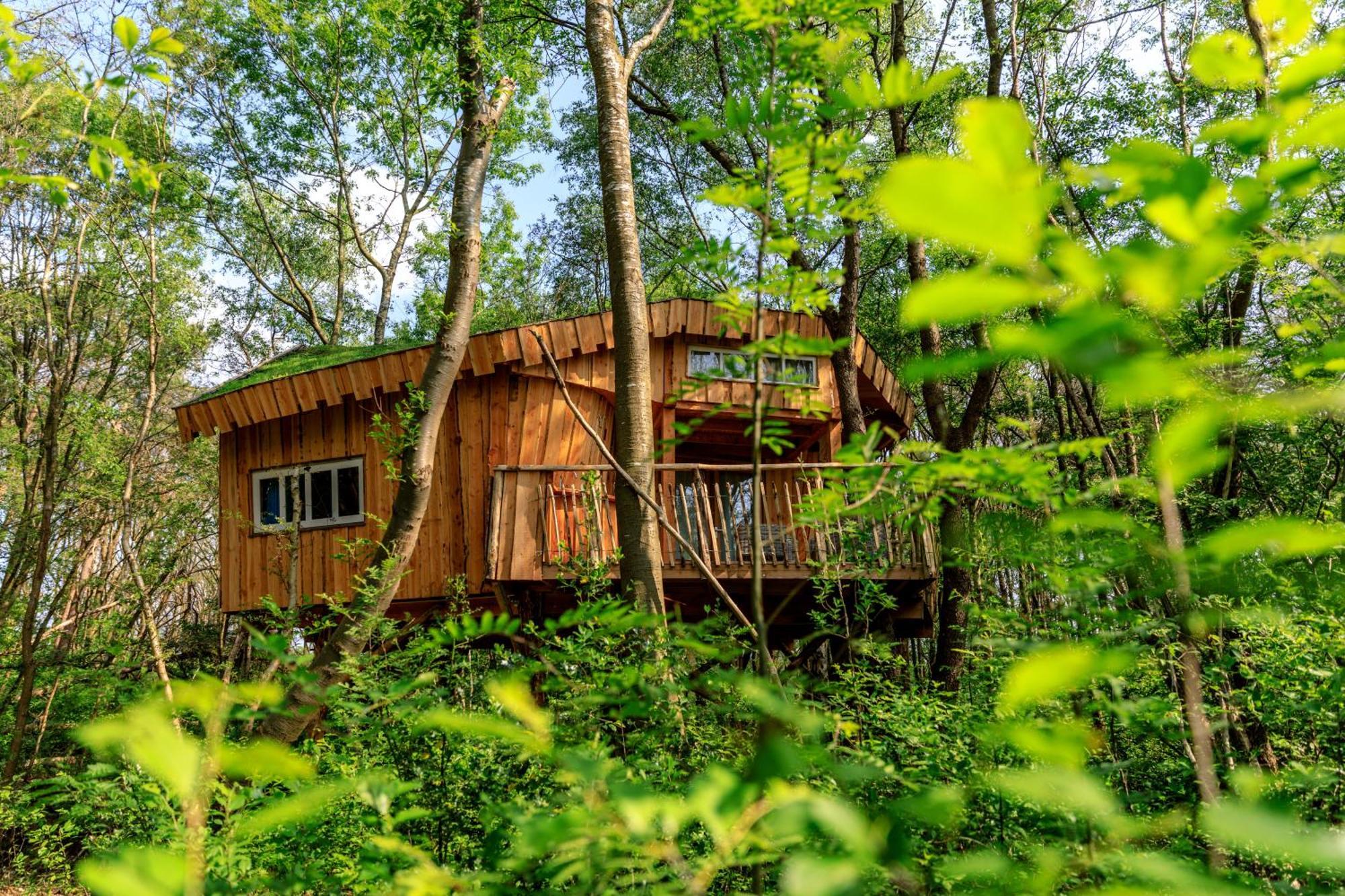 Camping De Reeenwissel Hoogersmilde Luaran gambar
