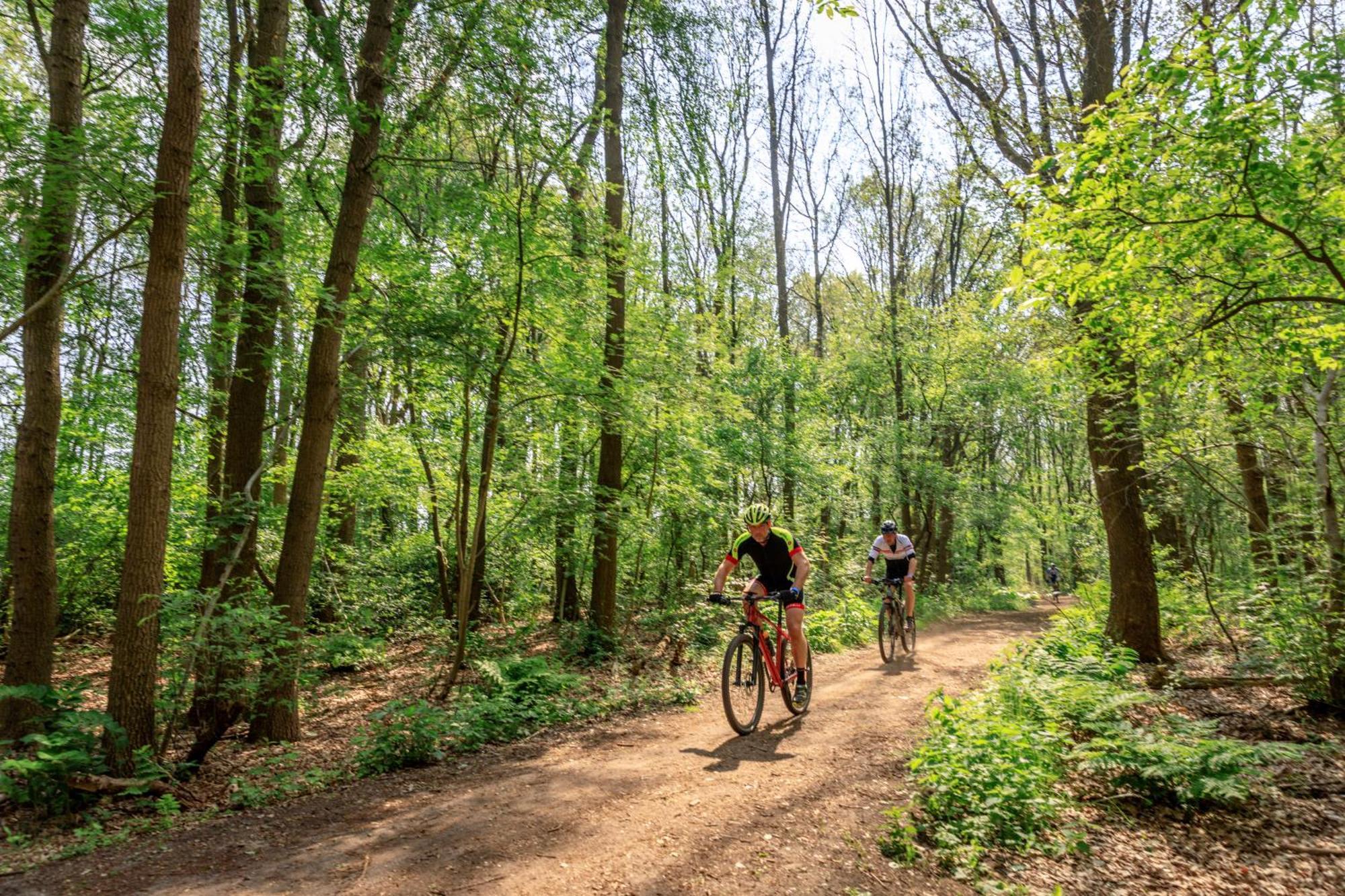 Camping De Reeenwissel Hoogersmilde Luaran gambar